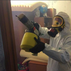Уничтожение клопов в квартире. Волжская